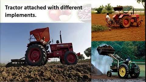 Std: 4th | Sub: EVS (1)Topic :The Value of Food Part 1