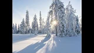 Ashreveal — MANASHA (Super Slowed)