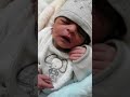 محسن عمر البعسي