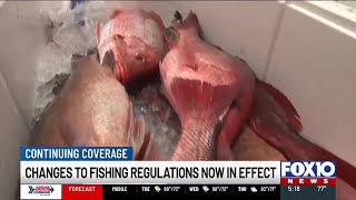 ADCNR changes size / bag limits on Sheepshead, Redfish, Snook