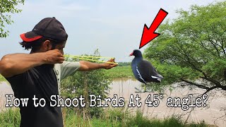 How to Shoot Birds at 45° Angle?