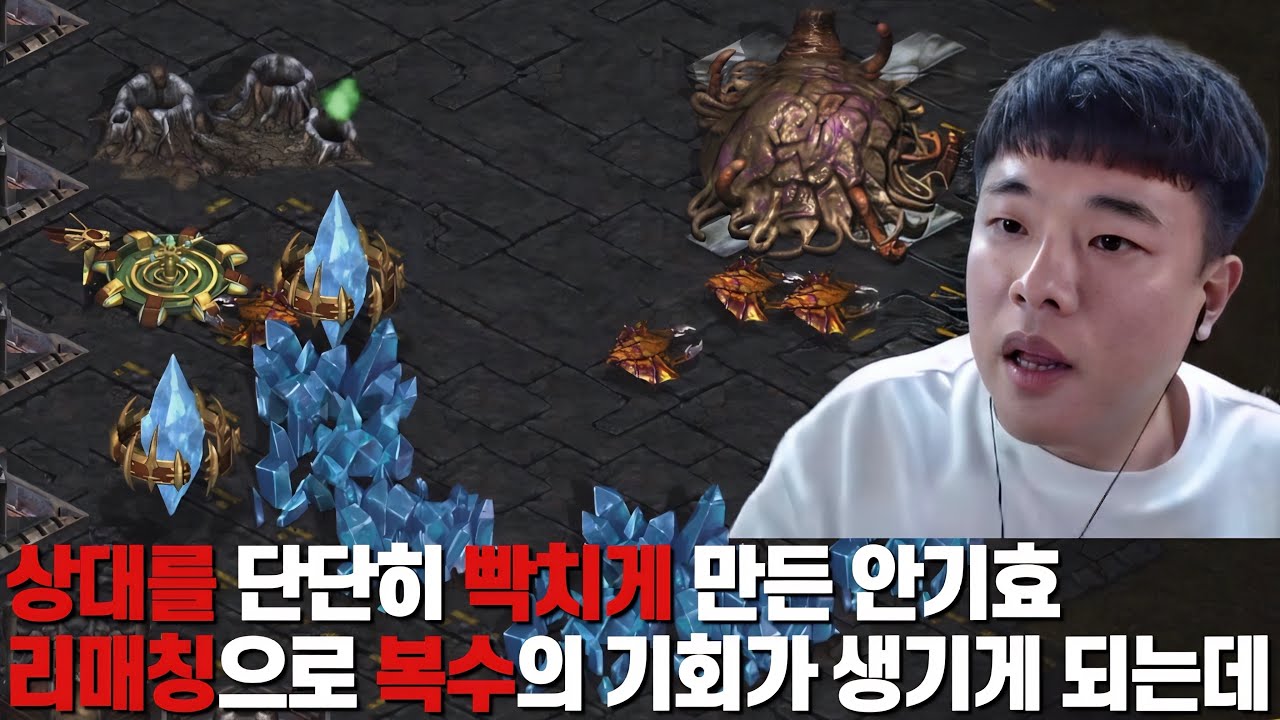 상대를 잘못 건드린 45 마리의 동물들!