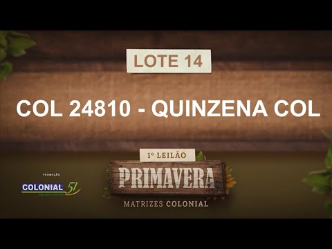 LOTE 14   COL 24810