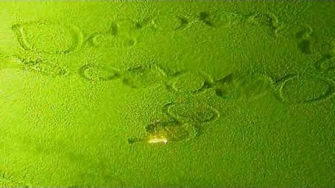 3D Metal Printing: EOS Direct Metal Laser Sintering with real-time build analysis