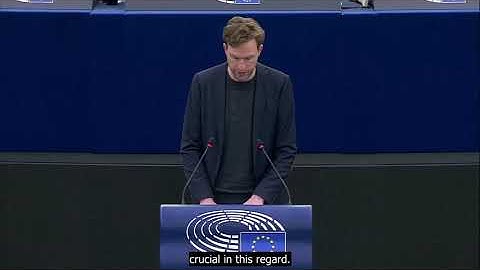 My plenary speech as one of the key negotiators on the EU