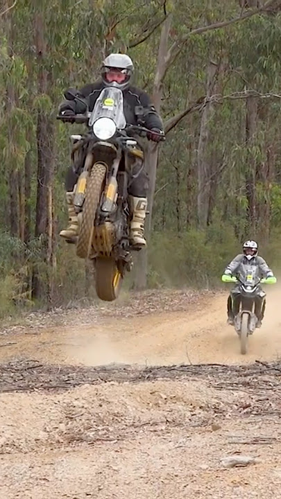 Himalayan 450 vs CFMOTO 450 comparison