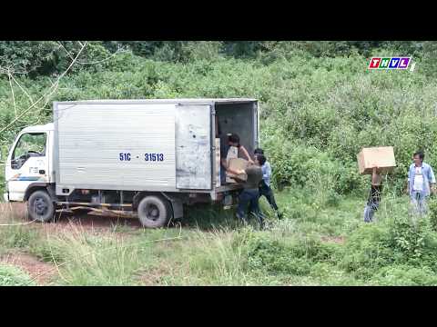 ĐANG GIAO DỊCH hàng cấm trong RỪNG SÂU nhóm tội phạm BẤT NGỜ BỊ cảnh sát MAI PHỤC | Phim Hình Sự