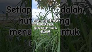 Janji Adalah Hutang Untuk Ditepati #katabijak #motivasi #quotes #komitmen #gunungandong #jawatengah