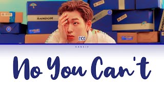 지코 (ZICO) - No You Can't Color Coded Lyrics Han|Rom|Eng