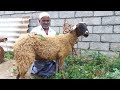 RAMZAN SPECIAL / Full Goat Biryani by My Muslim Friend in My Village