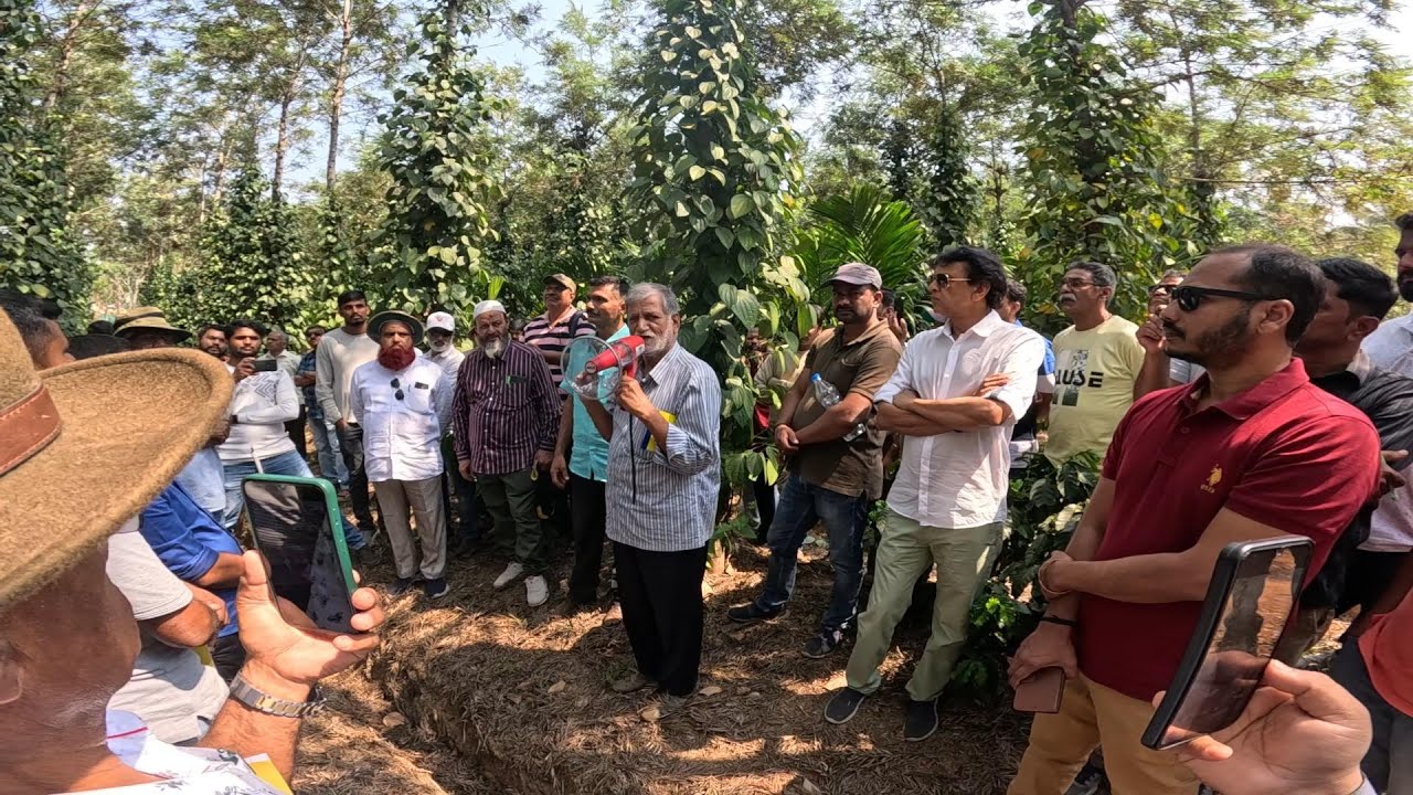 AMAZING INTENSIFYING BLACK PEPPER FARMING BY JOSEPH CHACO |ORGANISED BY HASIRU ORGANICS