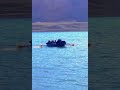 هلك شالو على مكحول يا شير هلك شالو على مكحول يا شير