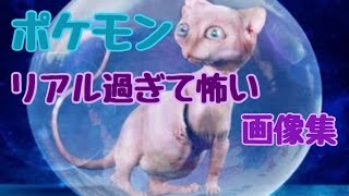 ポケモン リアル過ぎて怖い画像集 Youtube ポケモン リアル過ぎて怖い画像集 Youtube