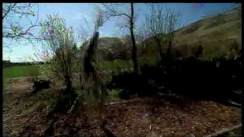 "Quantum Man" (2007) by Julian Voss-Andreae