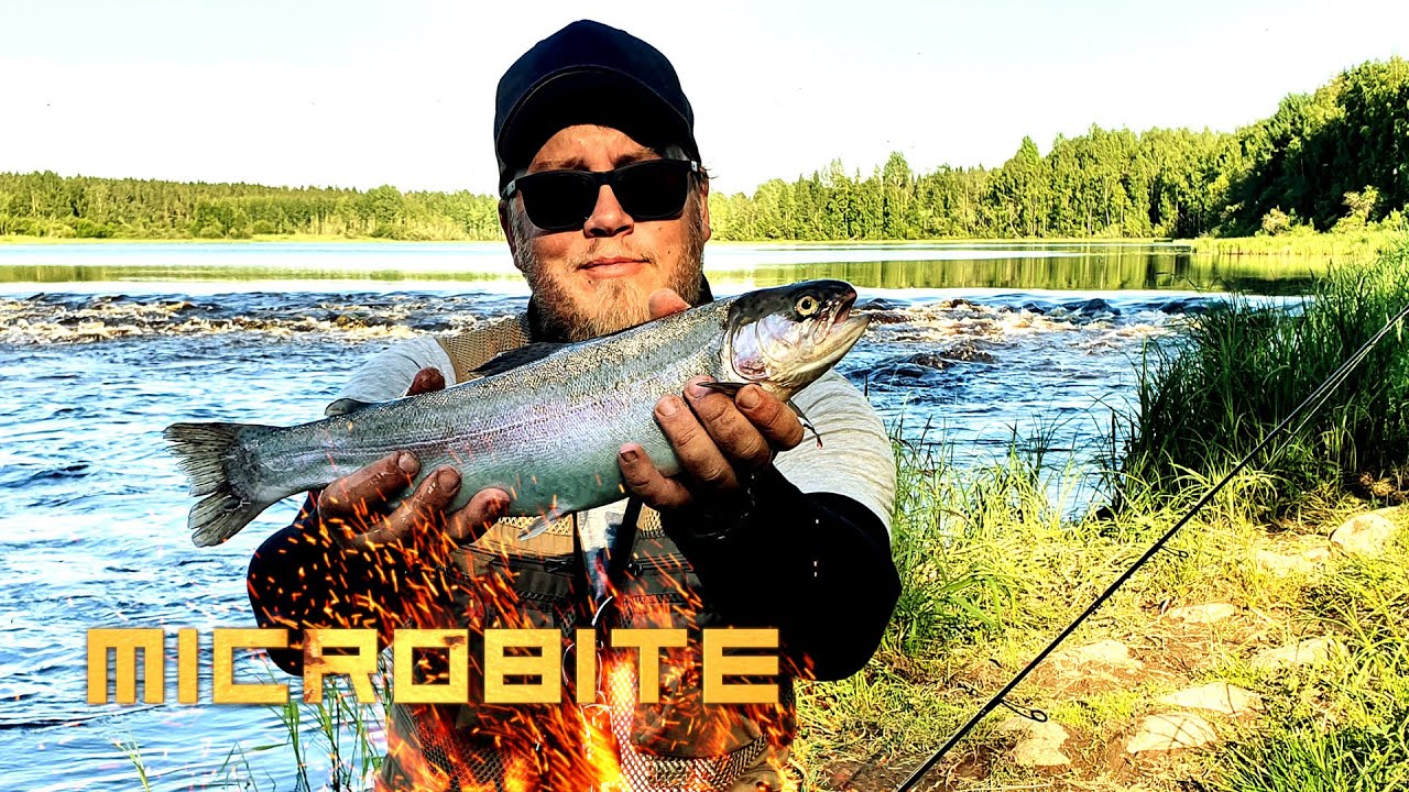 Kirjolohen kalastusta Pitkäkoskella / Rainbow Trout for Ultralight Rod