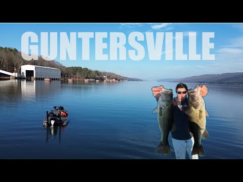 Catching GIANT Winter Bass on Lake Guntersville [Big Bass Capital of the World]