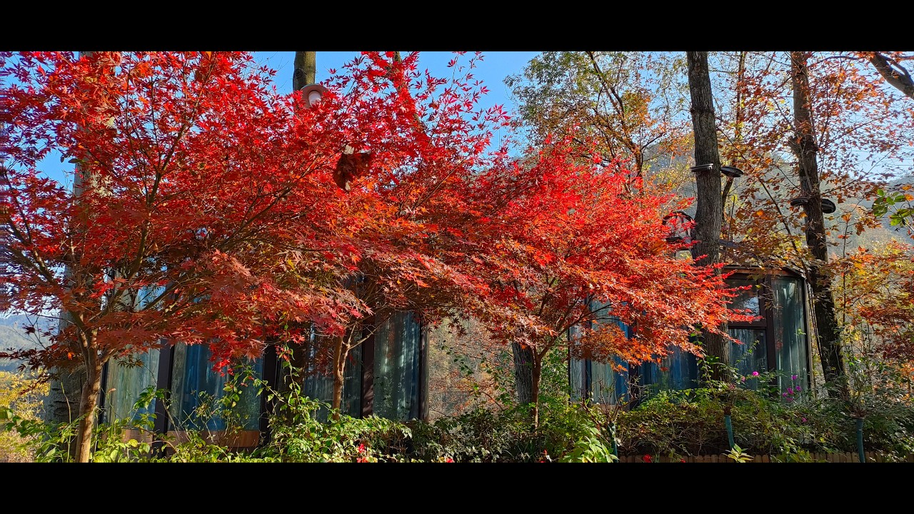 20251126張家界之旅 2