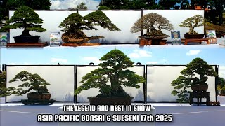 Download Lagu Asia Pacific Bonsai \u0026 Sueseki 2025 Gianyar Bali Indonesia #bonsai #bonsaicontest #bonsaiexhibition MP3 Download Lagu Asia Pacific Bonsai \u0026 Sueseki 2025 Gianyar Bali Indonesia #bonsai #bonsaicontest #bonsaiexhibition MP3