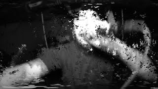 LIE IN WAIT "An Endless Burden" (Official Music Video)