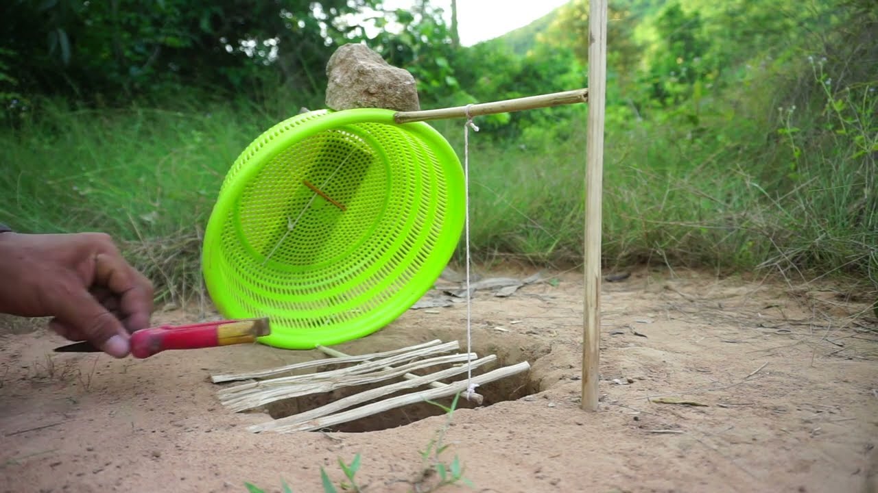 Building Unique Underground  Quail Bird Trap Using Basket & Hole