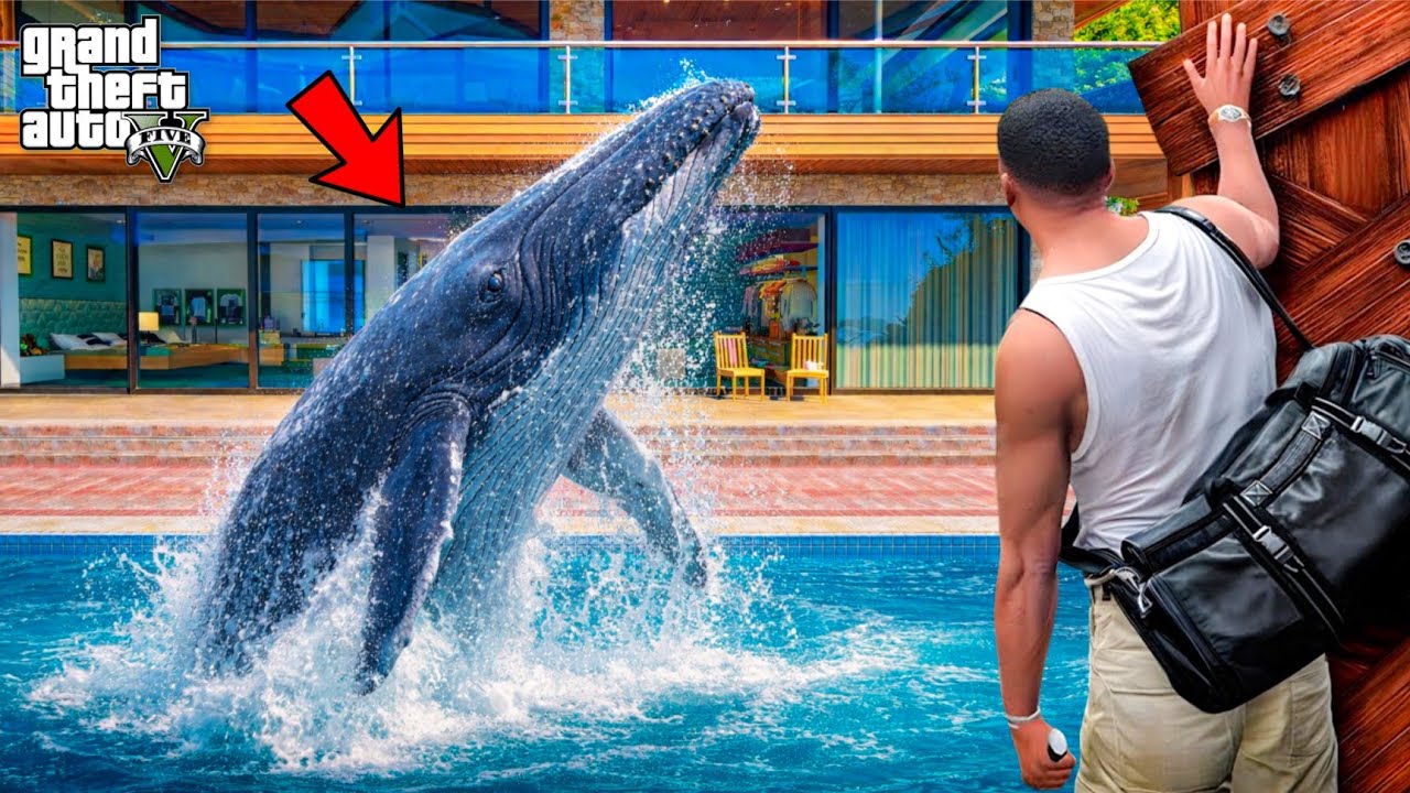 Biggest Fish in Franklin Swimming Pool | GTA 5 Telugu