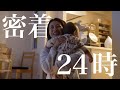 【生後8ヶ月】ママママと呼ぶ赤ちゃんに24時間密着｜後追いのピーク｜タッチできるようになった｜全力で育児をする新米パパママ