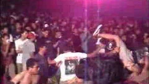 CASSANDRA "Dying Tulips Are Grand"