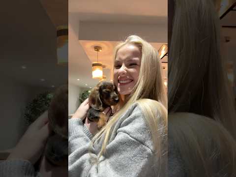 You’re not ready for my birthday present…🐾