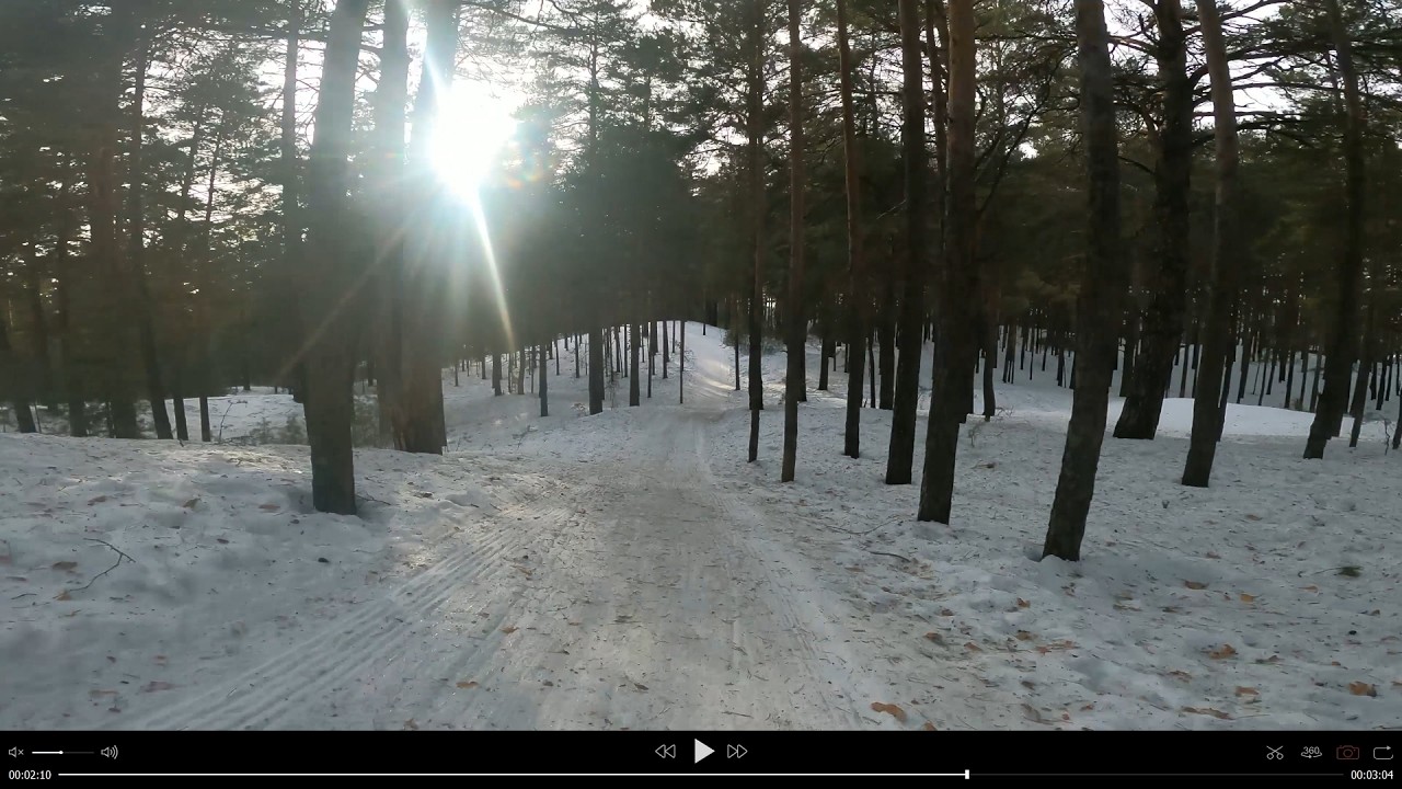 наверное треклокросс / по лесной тропе / ленточный бор / Барнаул/ HET. FIXED GEAR