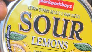 Backpackboyz Sour Lemons strain review
