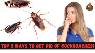 Top 5 ways to get rid of Cockroaches