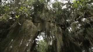 Curtain Of Secrecy The Ruby Mccollum Story Movie Trailer