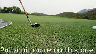 Hickory Golf: Practise - Niblick and Putter