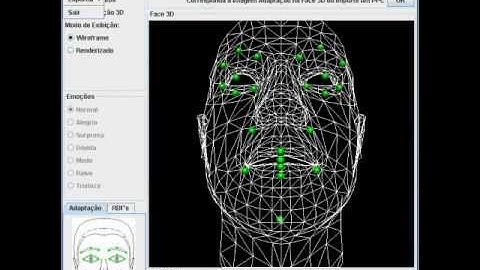 Facial Animation Based on Radial Basis Functions