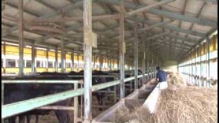 INABEFOODS_みえ黒毛和牛