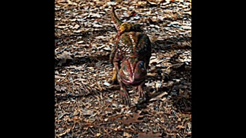 Dustin Traps the 💀 Demogorgon | Stranger Things Iconic Scene #strangerthings #dustinhenderson