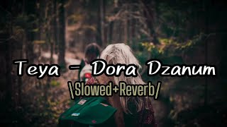 Teya Dora🔥Dzanum🔥(Noes Remix) | Slowed Reverb | Perfectly Lofi Music @mrsquaremusic