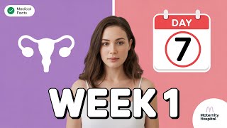 The First Week Of Pregnancy – What's Actually Happening Inside