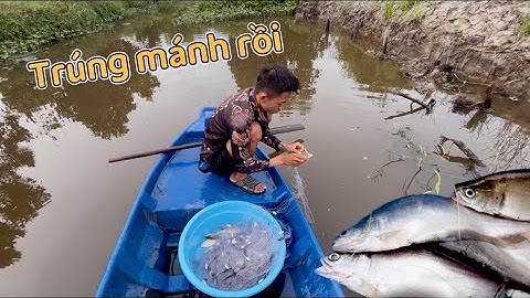 Trúng mánh lớn, thả lưới 3 màng để qua đêm gặp ngay ổ cá thác lác quá xá đã | Nam miền tây hg
