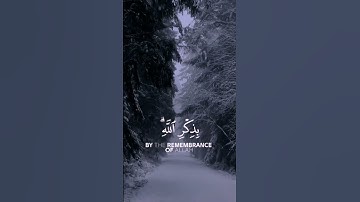 الَّذِينَ آمَنُوا وَتَطْمَئِنُّ قُلُوبُهُم بِذِكْرِ اللَّهِ ۗ #سورة الرعد#راحة_نفسية# آية 28 #قرآن