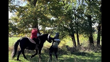 Tabar/axe & separ/shield on horseback vs. an armored opponent armed with shamshir & Separ (part 1)