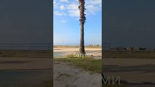 #batum #батумисегодня 28.03.25 #аджария #грузины #georgia