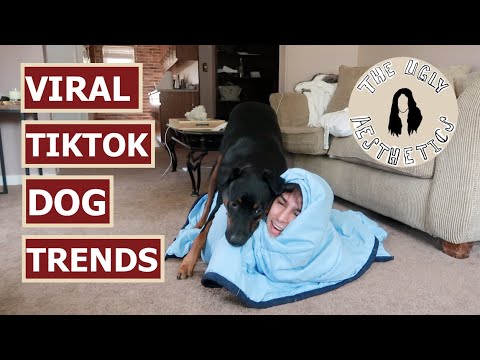 Viral TikTok Dog Trends | THE UGLY AESTHETICS - YouTube