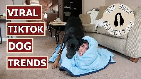 Viral TikTok Dog Trends | THE UGLY AESTHETICS