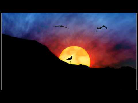 Audra Mae Little Sparrow Dolly Parton Cover 