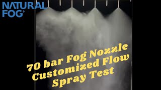 Celebrity Indian Customer Inquiry - Fog Nozzle Spray Pattern Test with 2 Different Impeller Profile