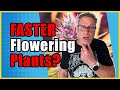 Get your cannabis plants to harvest 10 days faster