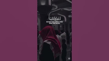 والذين لا يشهدون الزور - محمد اللحيدان سورة الفرقان  #اكسبلور #المصحف #حالات_واتس