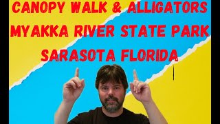 Canopy Walk and Alligators Myakka River State Park Sarasota Fl