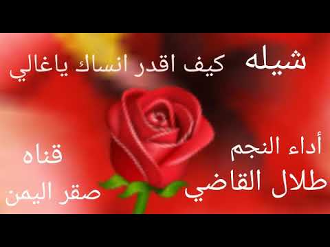كيف اقدر انساك ياغالي طلال القاضي 2020